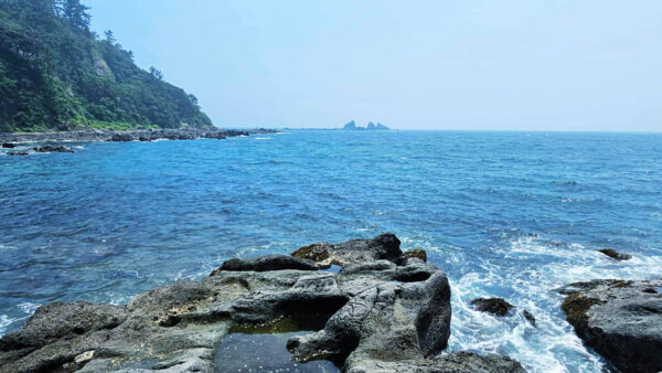 武内メソッド zoom勉強会【毎月開催】